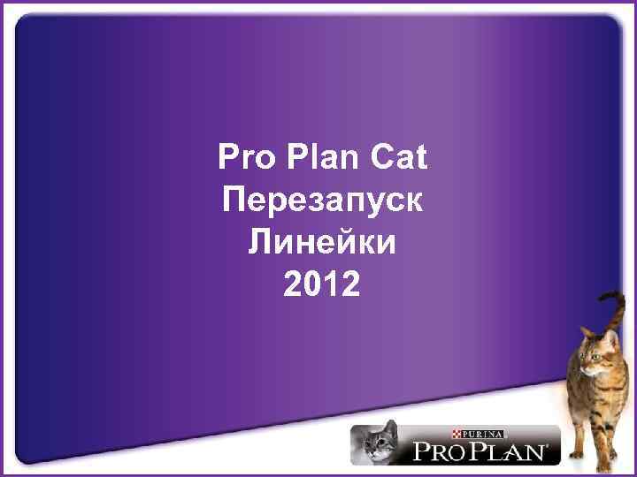 Pro Plan Cat Перезапуск Линейки 2012 