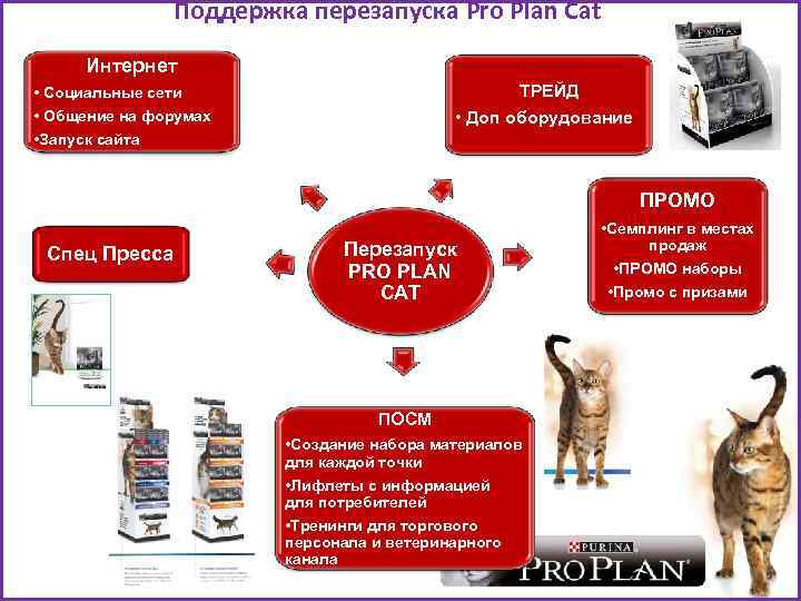 Поддержка перезапуска Pro Plan Cat Интернет ТРЕЙД • Социальные сети • Общение на форумах