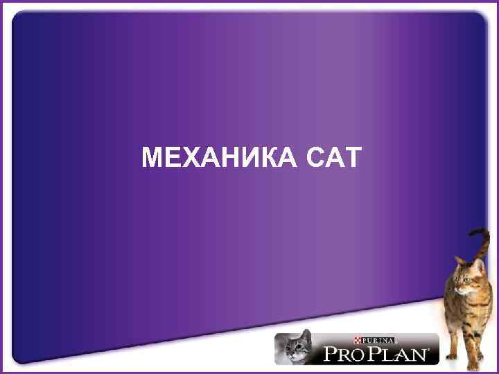 МЕХАНИКА CAT 