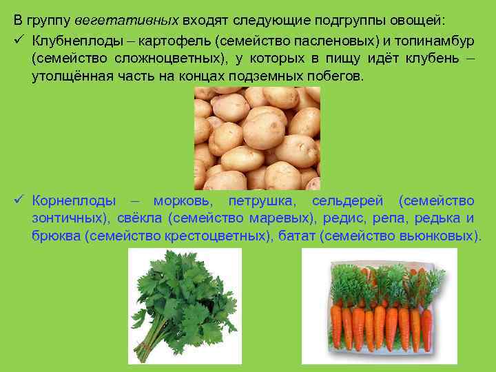 В группу вегетативных входят следующие подгруппы овощей: ü Клубнеплоды – картофель (семейство пасленовых) и