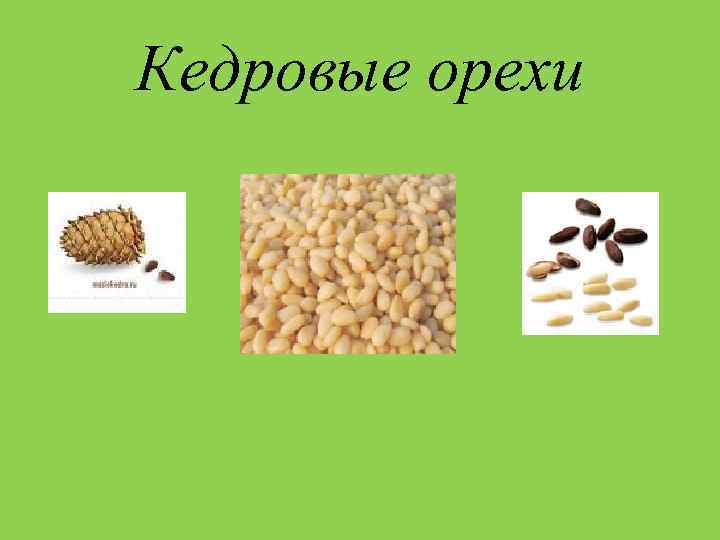 Кедровые орехи 