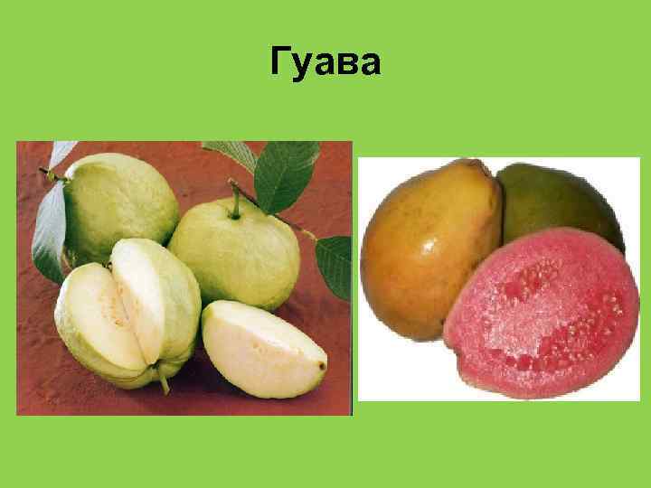 Гуава 