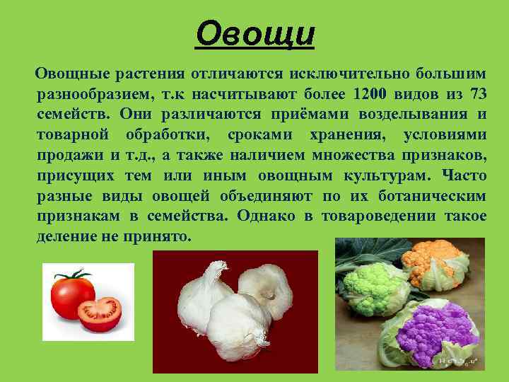 Определение доброкачественности овощей. Виды овощей. Показатели качества овощей таблица. Показатели качества плодов и овощей. Показатели качества свежих овощей.