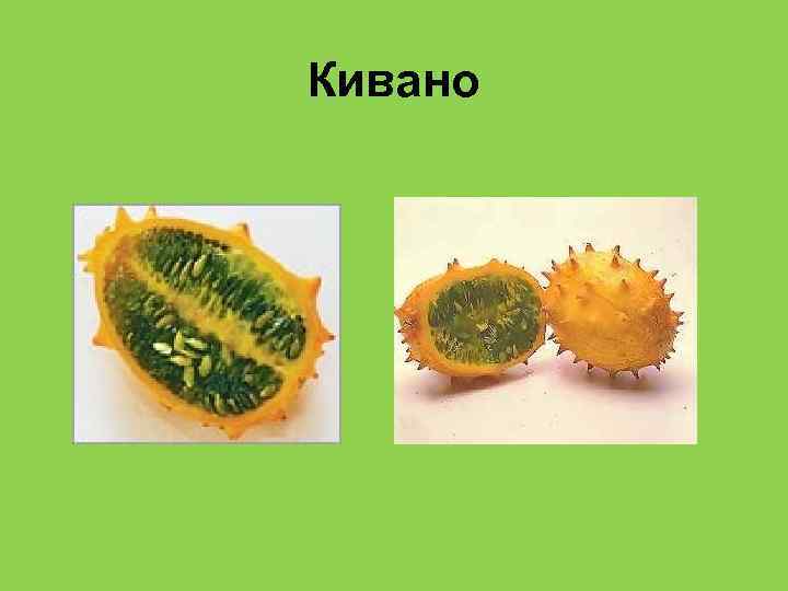 Кивано 