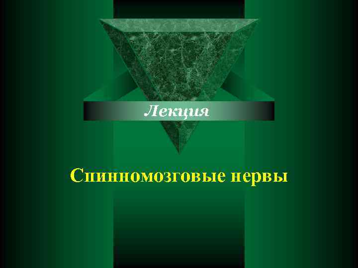 Лекция Спинномозговые нервы 