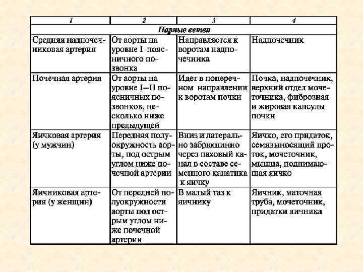 Брюшная аорта таблица