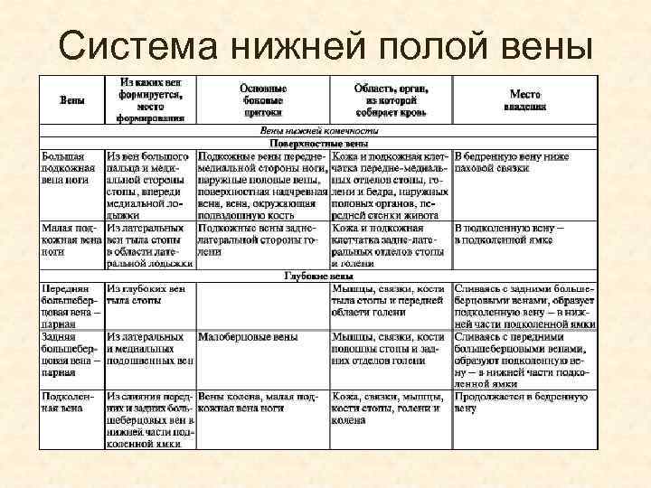 Нижнюю таблицу. Вены нижней конечности анатомия таблица. Верхняя полая Вена таблица. Система нижней полой вены таблица. Система верхней полой вены таблица.