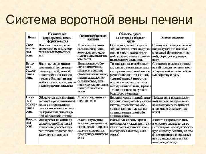 Система воротной вены печени 