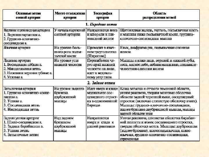 Артерии человека таблица