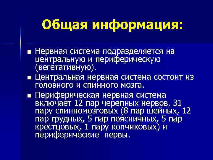 Общая информация: n n n Нервная система подразделяется на центральную и периферическую (вегетативную). Центральная