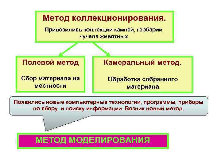 Метод коллекционирования. Привозились коллекции камней, гербарии, чучела животных. Полевой метод Камеральный метод. Сбор материала