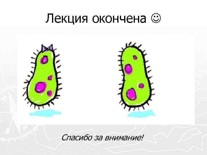 Лекция окончена Спасибо за внимание! 