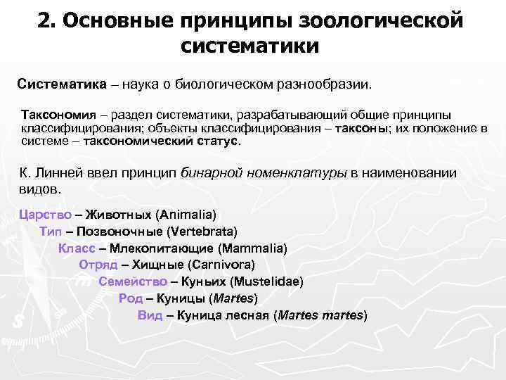 Составить схему положения человека согласно критериям зоологической систематики