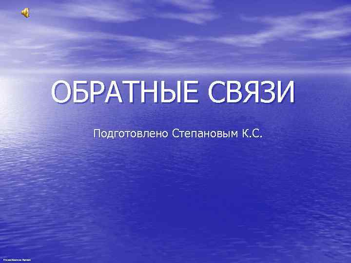 ОБРАТНЫЕ СВЯЗИ Подготовлено Степановым К. С. Степанов Константин Сергеевич 