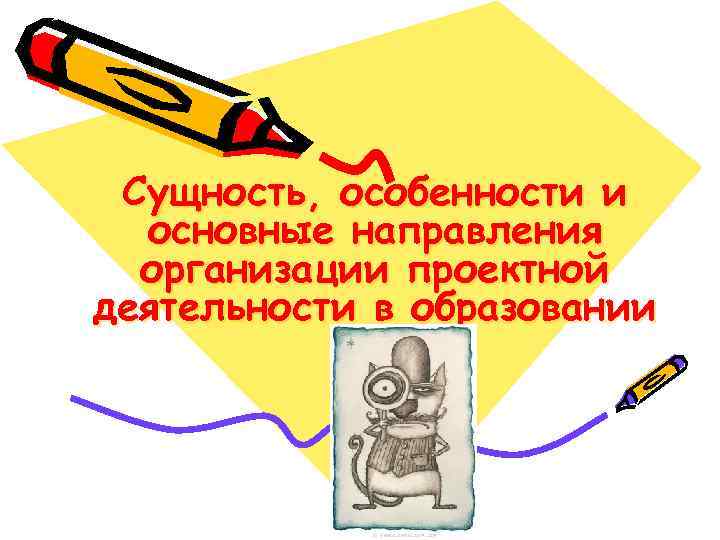 Сущность, особенности и основные направления организации проектной деятельности в образовании 