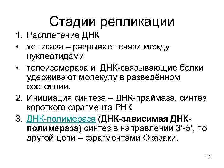 Стадии репликации 1. Расплетение ДНК • хеликаза – разрывает связи между нуклеотидами • топоизомераза