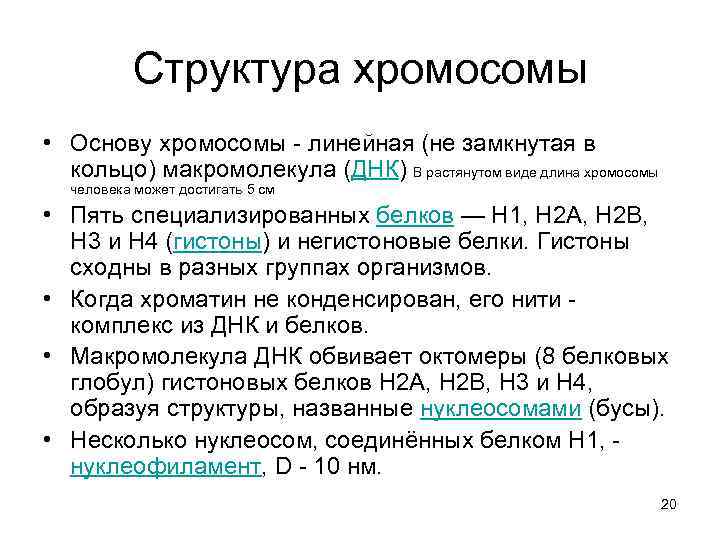 Структура хромосомы • Основу хромосомы - линейная (не замкнутая в кольцо) макромолекула (ДНК) В