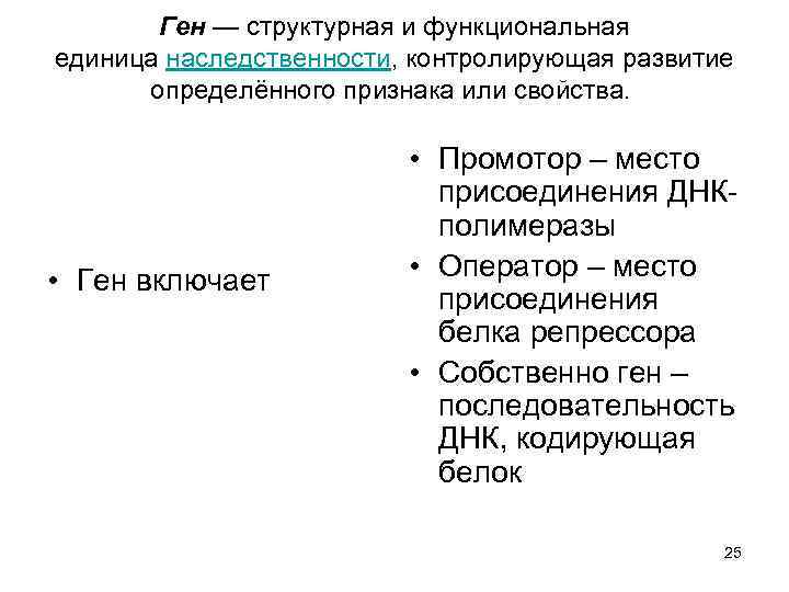 Наименьшей структурной и функциональной единицей