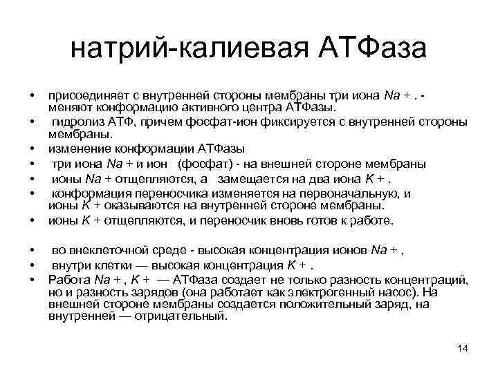 натрий-калиевая АТФаза • • • присоединяет с внутренней стороны мембраны три иона Na +.
