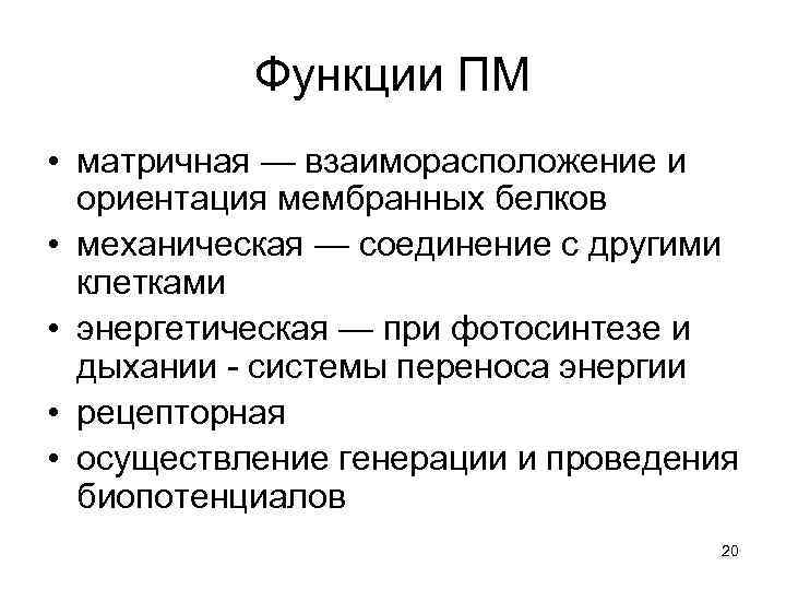 Функции ПМ • матричная — взаиморасположение и ориентация мембранных белков • механическая — соединение