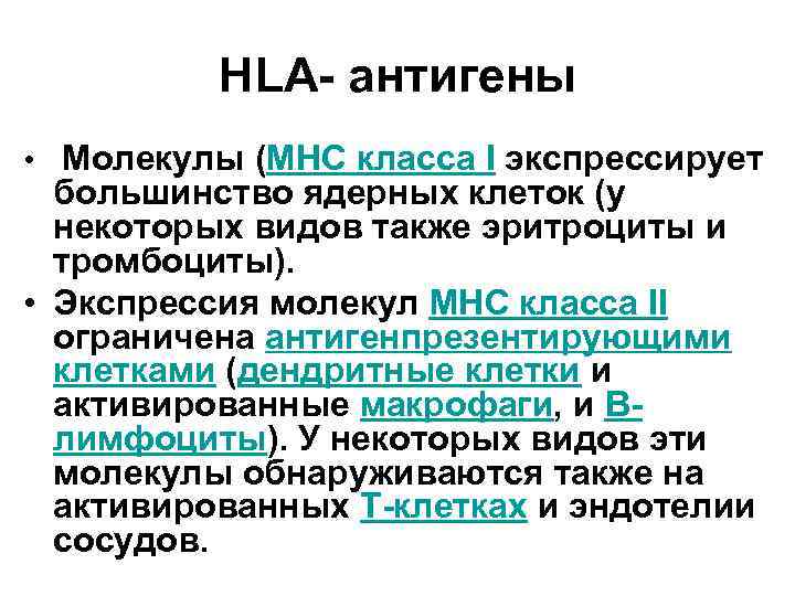 HLA- антигены • Молекулы (MHC класса I экспрессирует большинство ядерных клеток (у некоторых видов