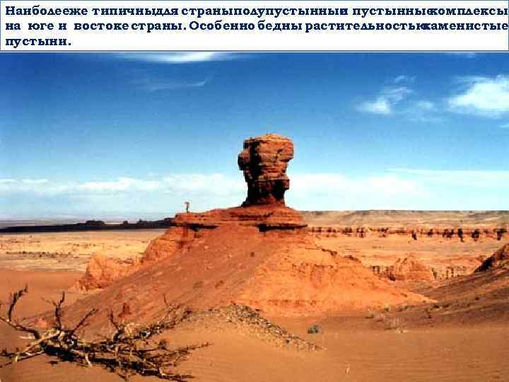 Наиболееже типичныдля страныполупустынные и комплексы на юге и востоке страны. Особенно бедны растительностью каменистые