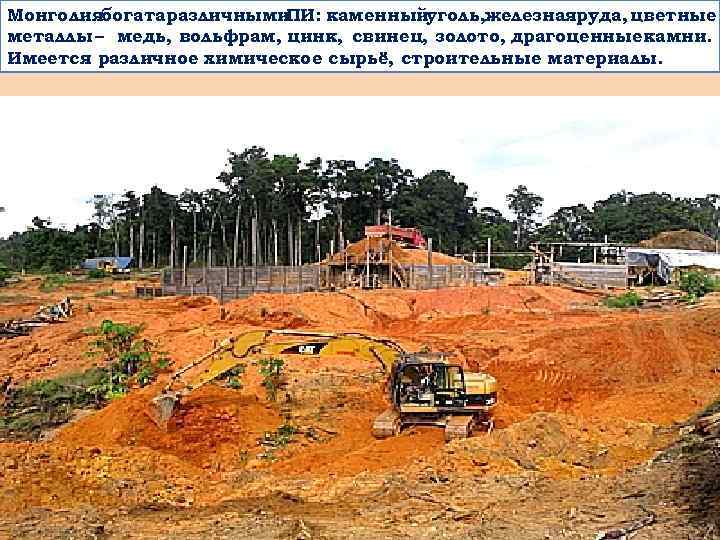 Монголиябогатаразличными ПИ: каменныйуголь, железнаяруда, цветные металлы – медь, вольфрам, цинк, свинец, золото, драгоценные камни.