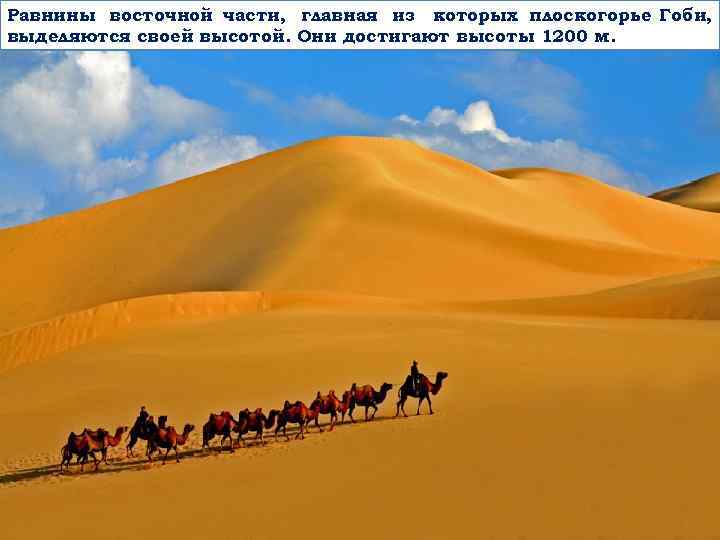 Равнины восточной части, главная из которых плоскогорье Гоби, выделяются своей высотой. Они достигают высоты