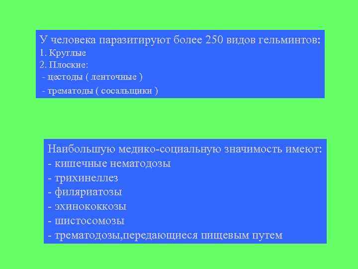 У человека паразитируют более 250 видов гельминтов: 1. Круглые 2. Плоские: - цестоды (