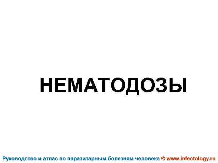 НЕМАТОДОЗЫ 