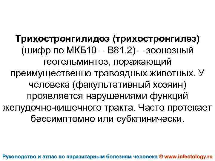 Трихостронгилидоз (трихостронгилез) (шифр по МКБ 10 – B 81. 2) – зоонозный геогельминтоз, поражающий