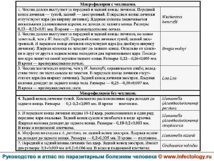 Схема лечения аскаридоза у взрослых врача инфекциониста