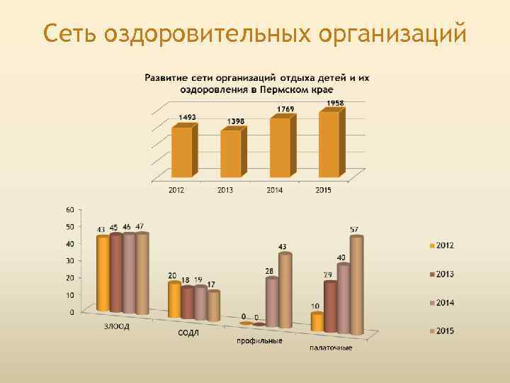 Сеть оздоровительных организаций 