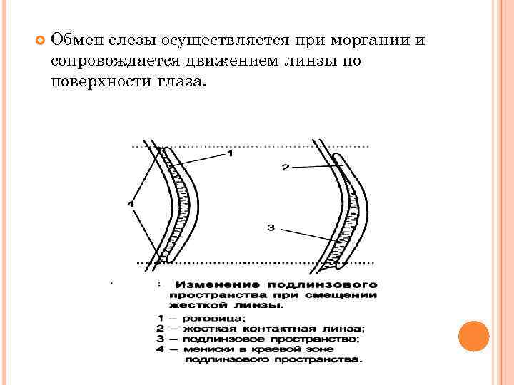  Обмен слезы осуществляется при моргании и сопровождается движением линзы по поверхности глаза. 