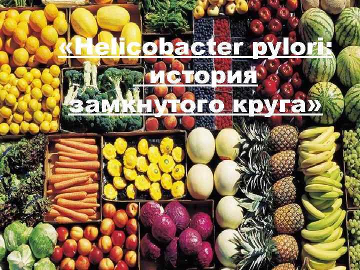  «Helicobacter pylori: история замкнутого круга» 