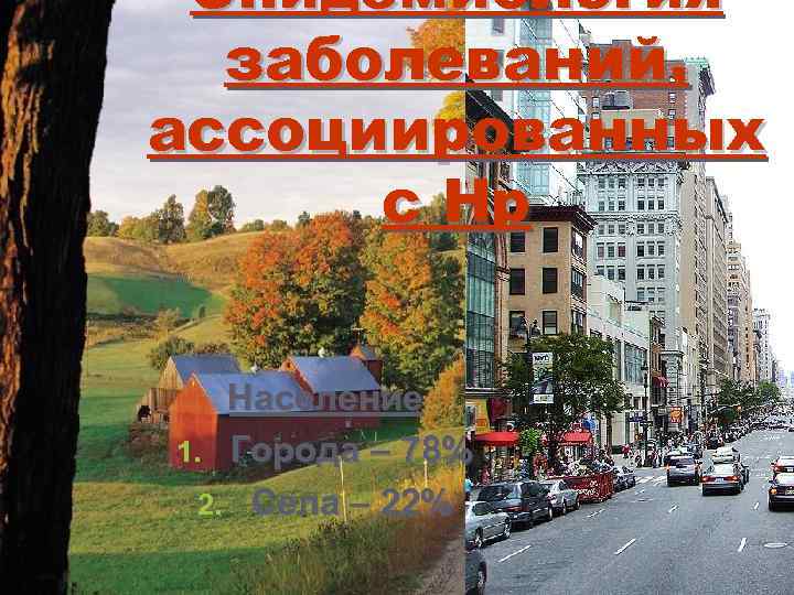 Эпидемиология заболеваний, ассоциированных с Hp Население 1. Города – 78% 2. Села – 22%