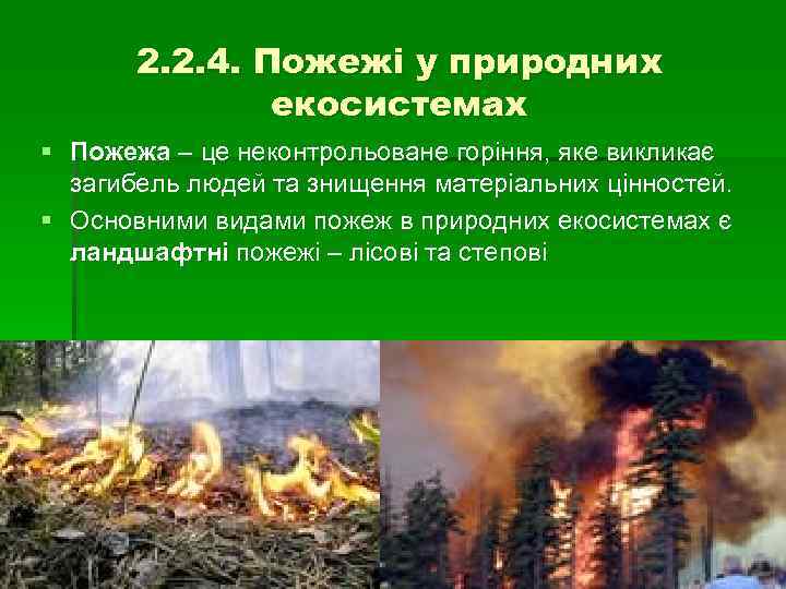 2. 2. 4. Пожежі у природних екосистемах § Пожежа – це неконтрольоване горіння, яке