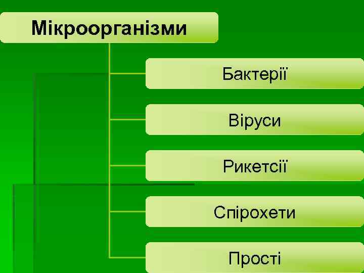 Мікроорганізми Бактерії Віруси Рикетсії Спірохети Прості 