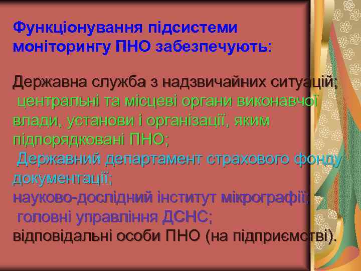 Функціонування підсистеми моніторингу ПНО забезпечують: Державна служба з надзвичайних ситуацій; центральні та місцеві органи