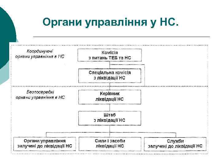 Органи управління у НС. 