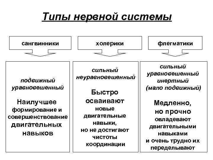 Типы нервной системы сангвинники подвижный уравновешенный Наилучшее формирование и совершенствование двигательных навыков холерики сильный