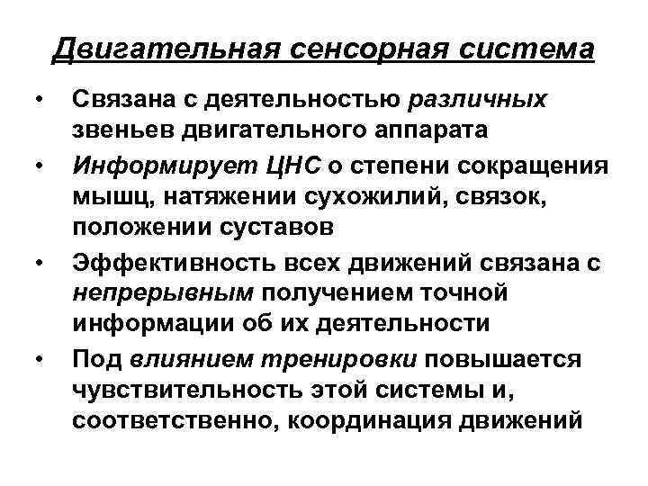 Двигательная сенсорная система • • Связана с деятельностью различных звеньев двигательного аппарата Информирует ЦНС
