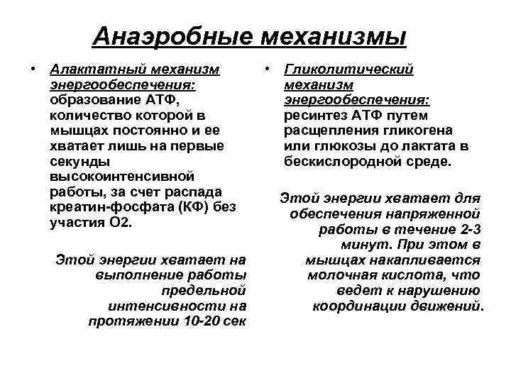 Анаэробные механизмы • Алактатный механизм энергообеспечения: образование АТФ, количество которой в мышцах постоянно и