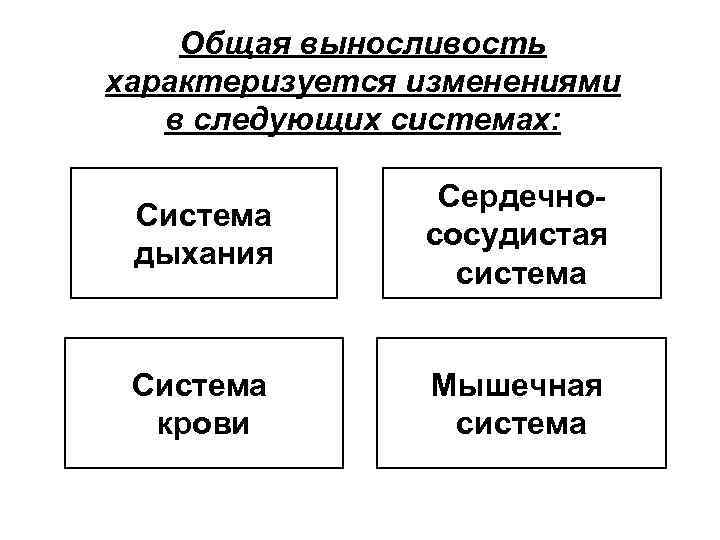 Общая выносливость характеризуется изменениями в следующих системах: Система дыхания Сердечнососудистая система Система крови Мышечная