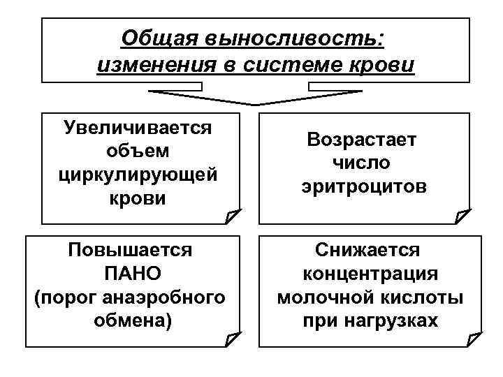 Общая выносливость: изменения в системе крови Увеличивается объем циркулирующей крови Повышается ПАНО (порог анаэробного