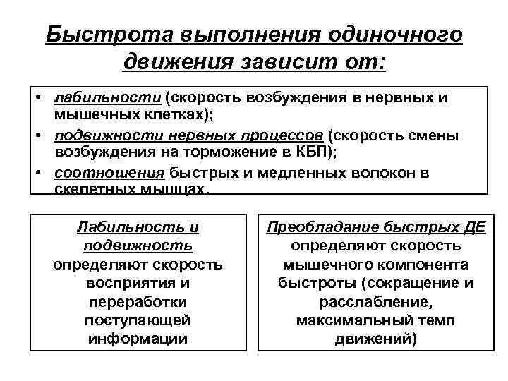 Быстрота выполнения одиночного движения зависит от: • лабильности (скорость возбуждения в нервных и мышечных