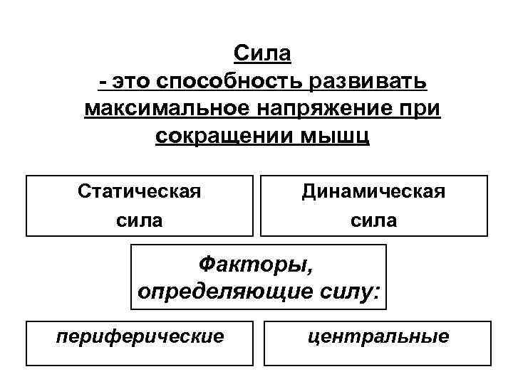 Сила - это способность развивать максимальное напряжение при сокращении мышц Статическая сила Динамическая сила