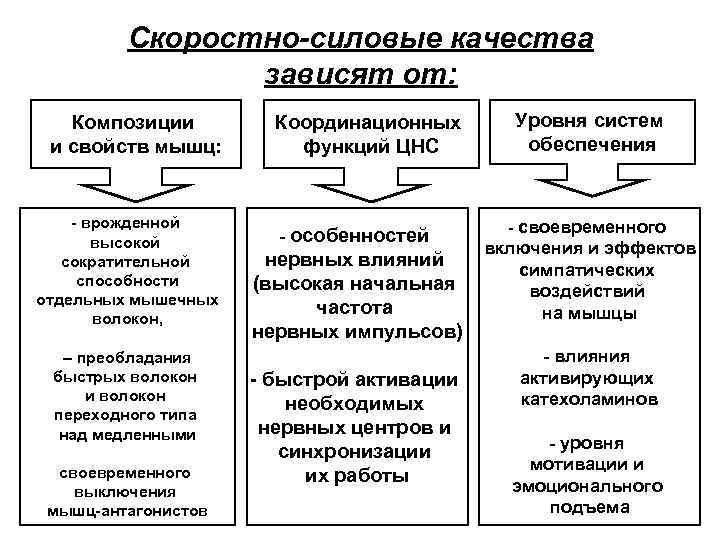 Скоростно-силовые качества зависят от: Композиции и свойств мышц: - врожденной высокой сократительной способности отдельных