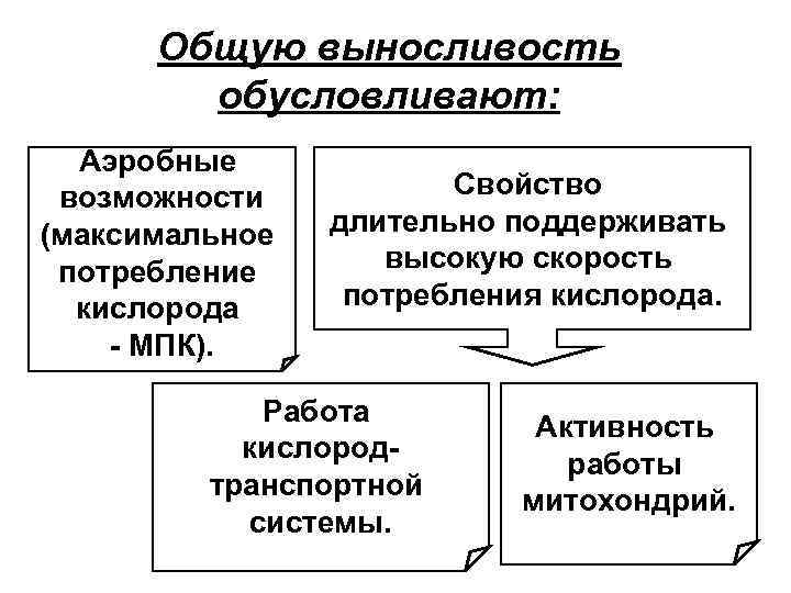 Общую выносливость обусловливают: Аэробные возможности (максимальное потребление кислорода - МПК). Свойство длительно поддерживать высокую