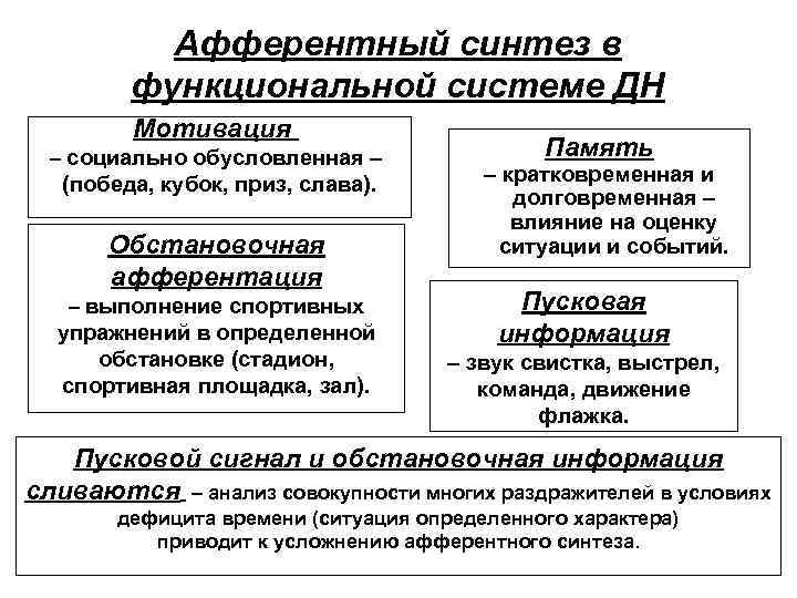 Афферентный синтез в функциональной системе ДН Мотивация – социально обусловленная – (победа, кубок, приз,